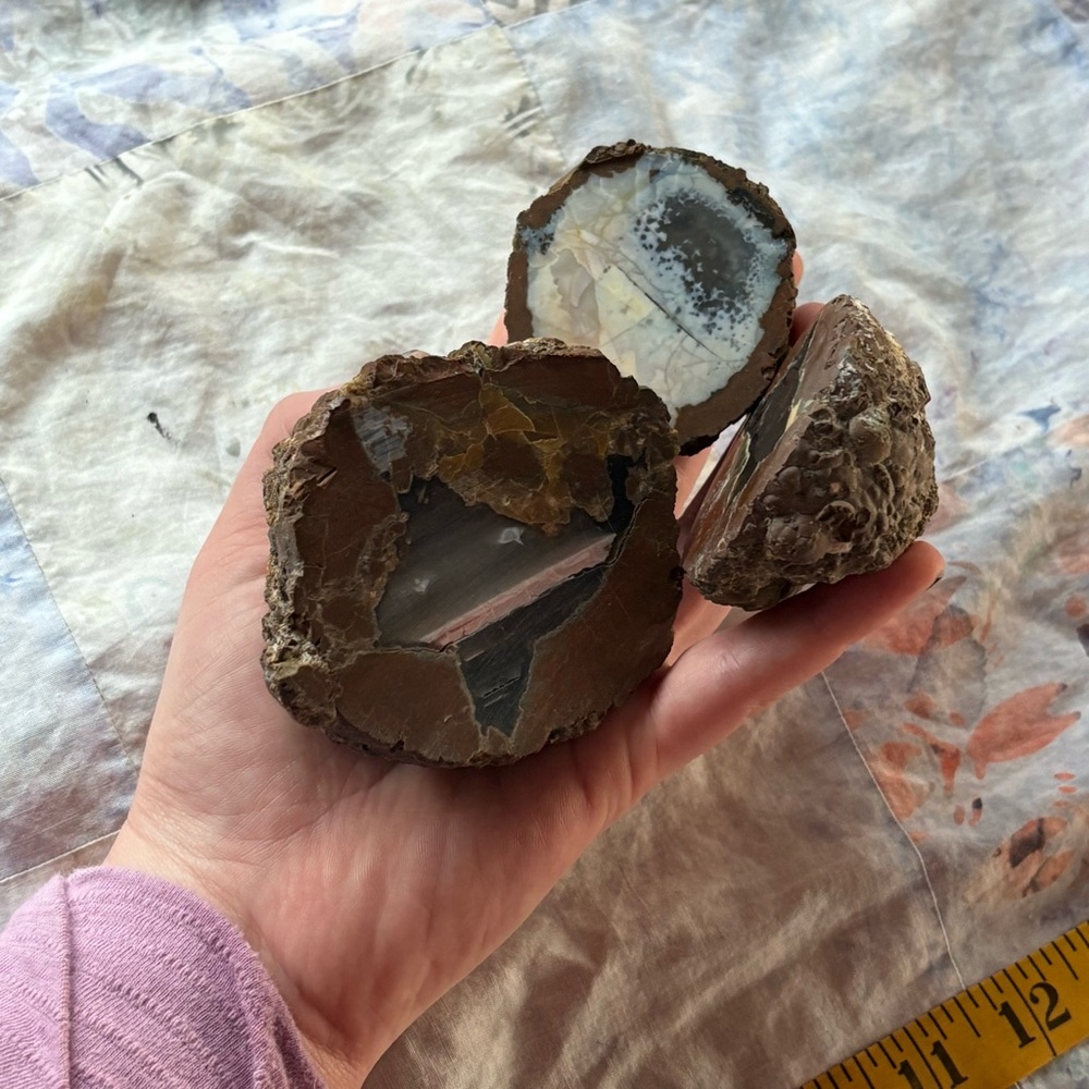 Thunderegg bundle Oregon thunder egg lot